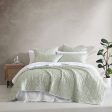 Shelby Sage Coverlet Set by Logan and Mason For Cheap