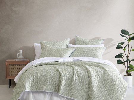 Shelby Sage Coverlet Set by Logan and Mason For Cheap